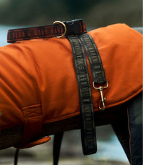 & Noah Kahan Novelty Dog Leash | L.L.Bean