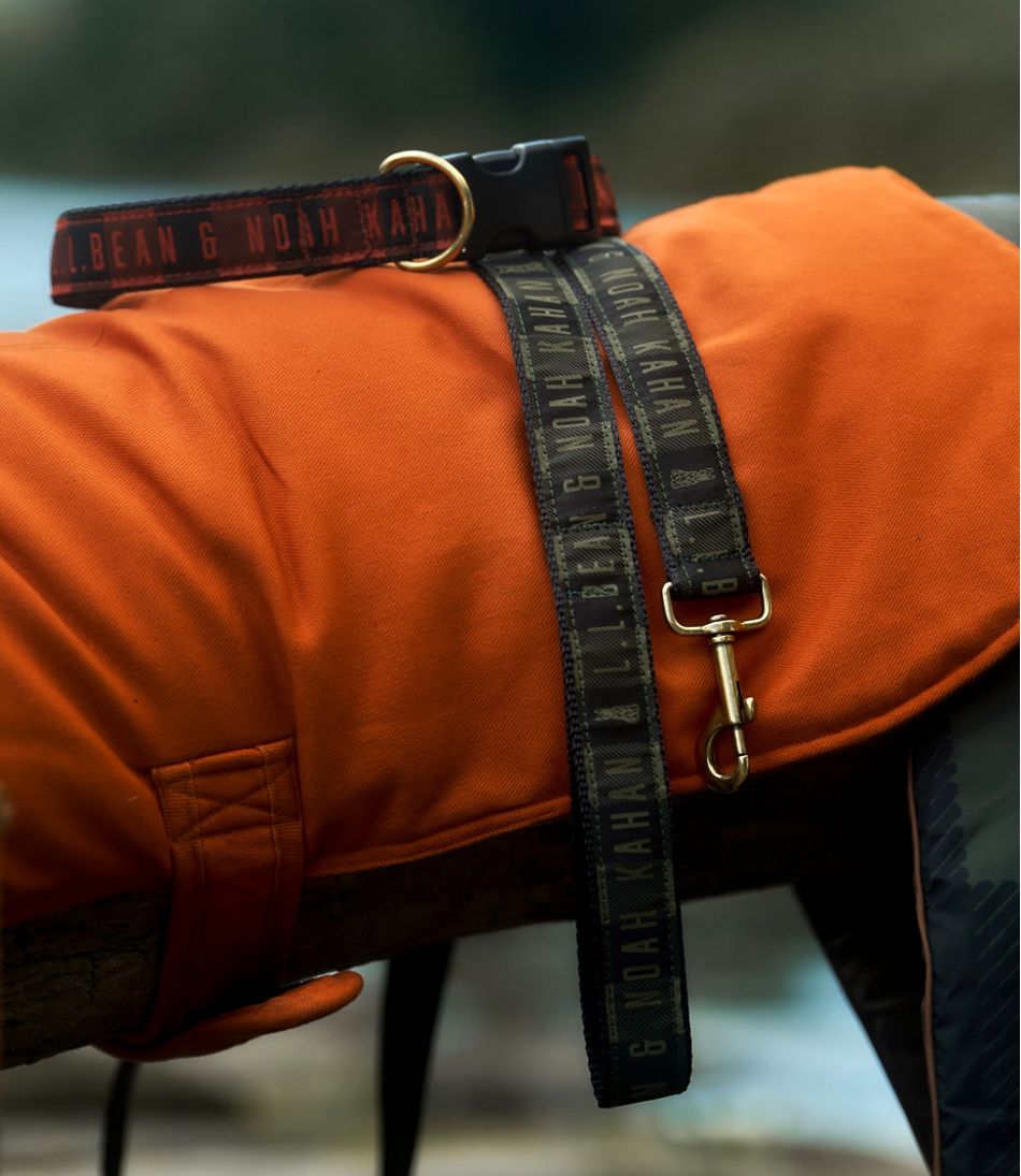 & Noah Kahan Novelty Dog Collar | L.L.Bean