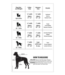 Personalized Pet Collar | L.L.Bean